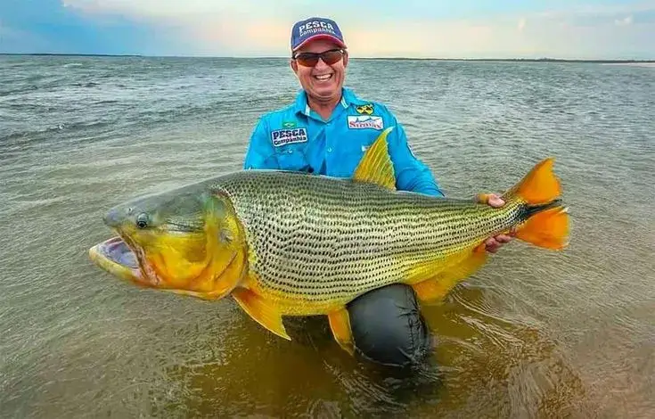 melhor época para pescar no Pantanal