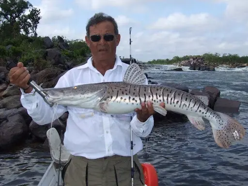 melhor época para pescar no Pantanal