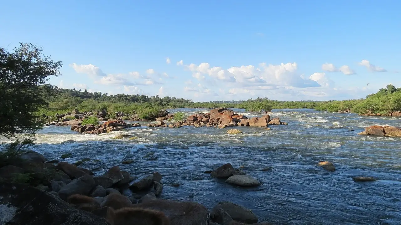 Melhores Lugares De Pesca Na Amazônia